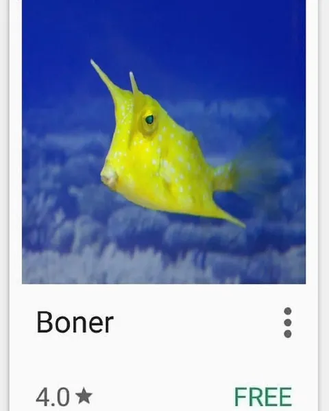 Fish Named Boner