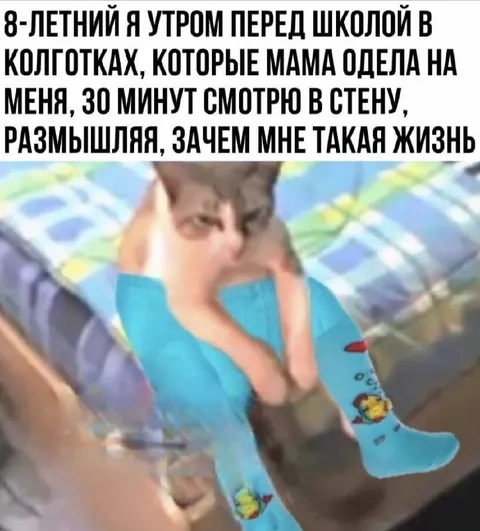 Восемь лет перед школой