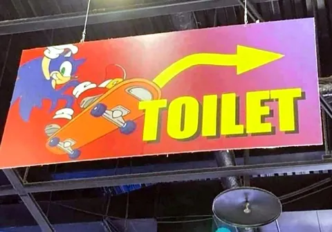 Sonic Rushes to the Toilet