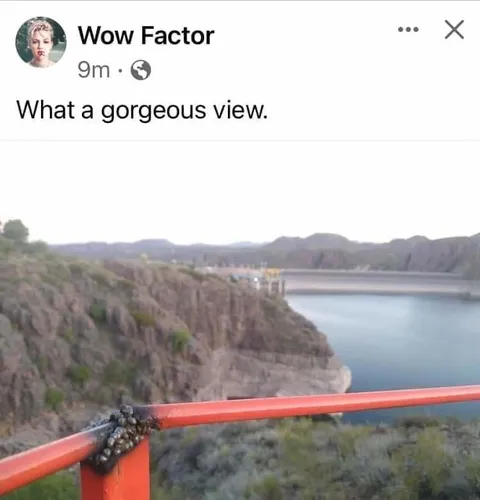 What a Gorgeous View