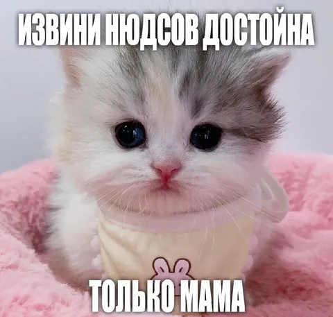 Извини носов достойна только мама