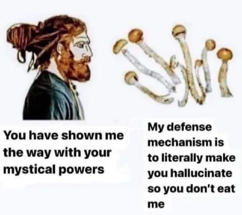 Mystical Powers Mushroom Defense