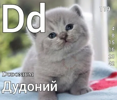 Дудоний — элемент нежности