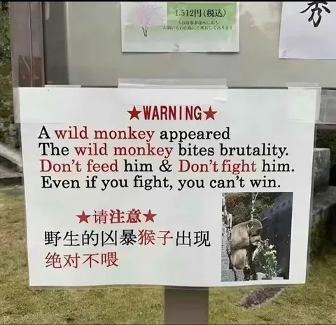 Wild Monkey Warning Sign