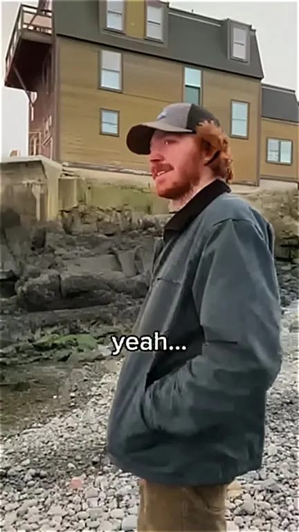 Wow, Yeah, Why Sunset Reaction