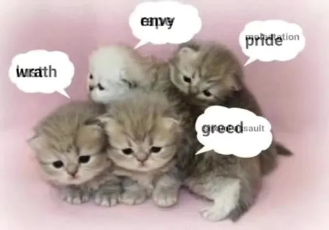 Kittens Discuss Every Evil