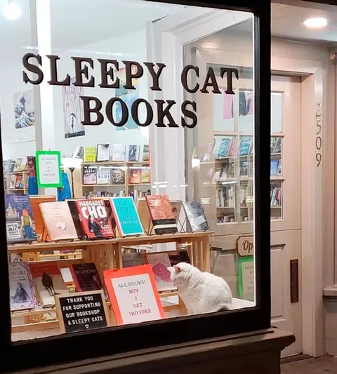 Sleepy Cat Bookstore