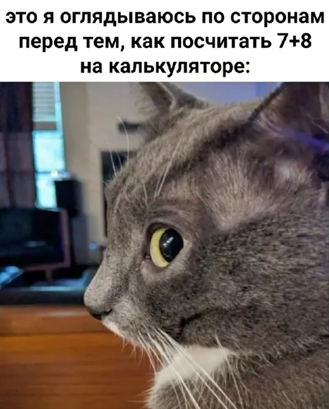 Кот перед сложным подсчётом