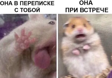 Она в переписке и при встрече