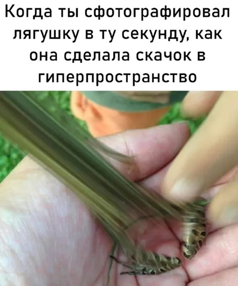 Лягушка прыгнула в гиперпространство