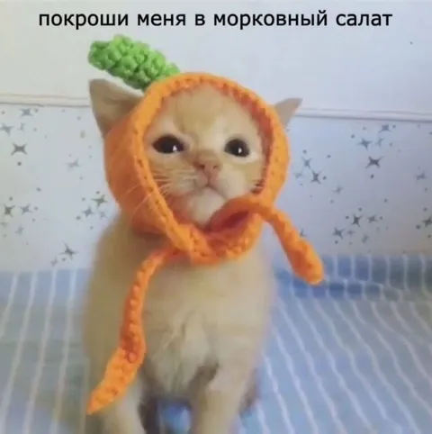 Котёнок в костюме морковки
