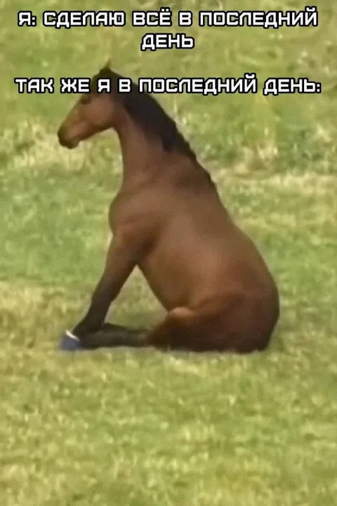 Лошадь в последний день