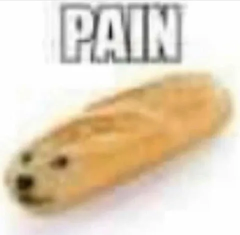 PAIN Hamster