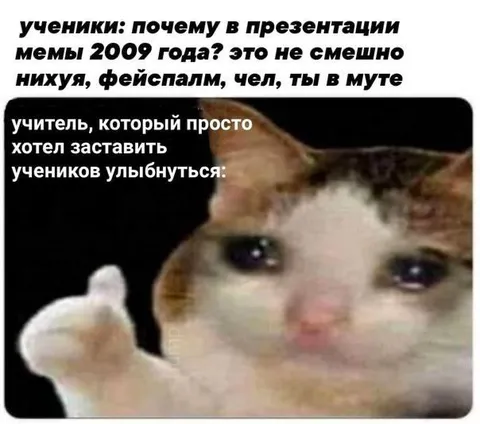 Учитель показывает плачущего кота