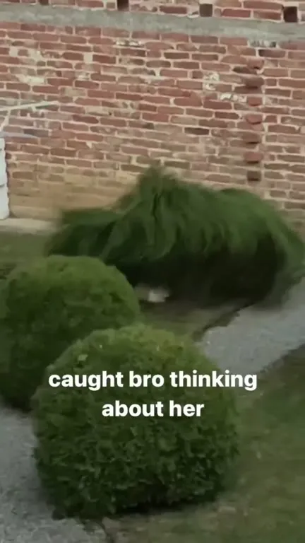 Caught Bro Thinking About Her