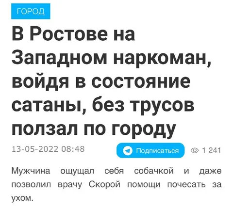 Собачка без трусов ползала по городу