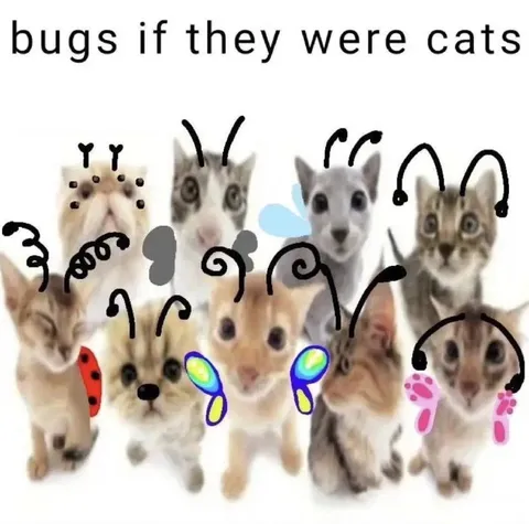 Bugs If They Were Cats