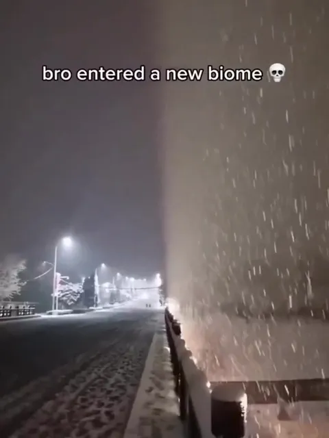 Bro Entered a New Biome