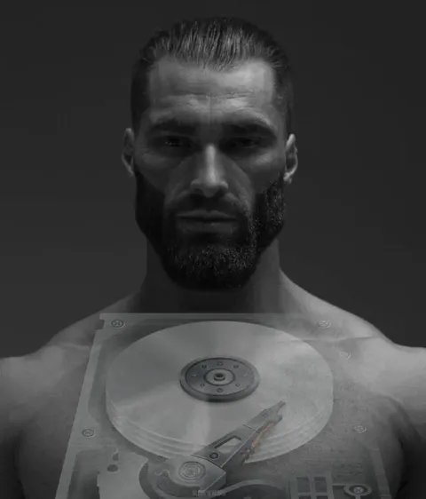 Gigachad с жёстким диском