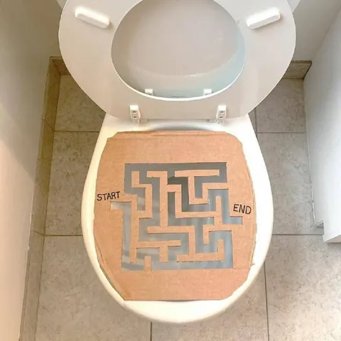 Toilet Seat Maze