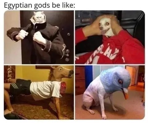 Egyptian Gods Be Like Animal Heads