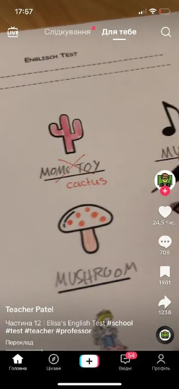 Cactus Mom's Toy Test