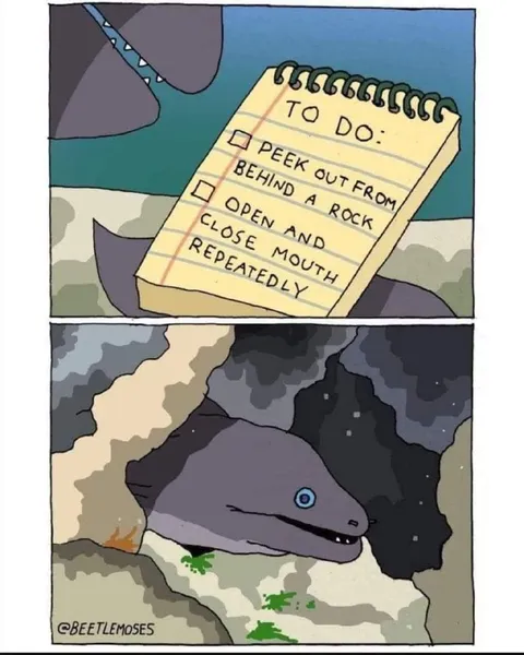 Shark Peeking From Behind Rock