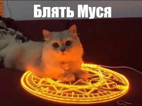 Блять Муся в круге