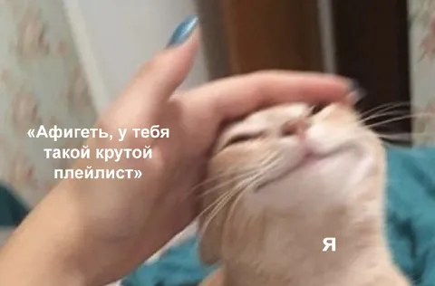 Кот с крутым плейлистом