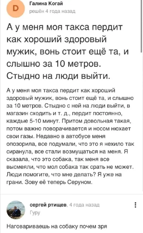 Такса пердит как мужик