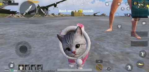Cute Cat in PUBG Lobby