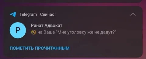 Мне уголовку же не дадут?