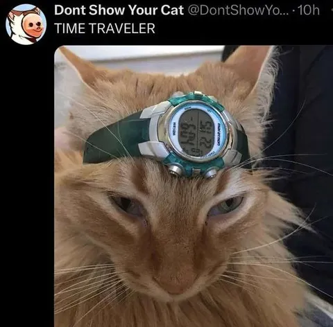 Time Traveler Cat With Watch