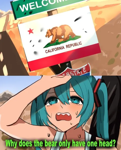 Why Does the Bear Have One Head?