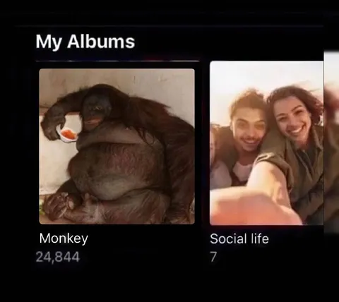 Monkey Album Beats Social Life