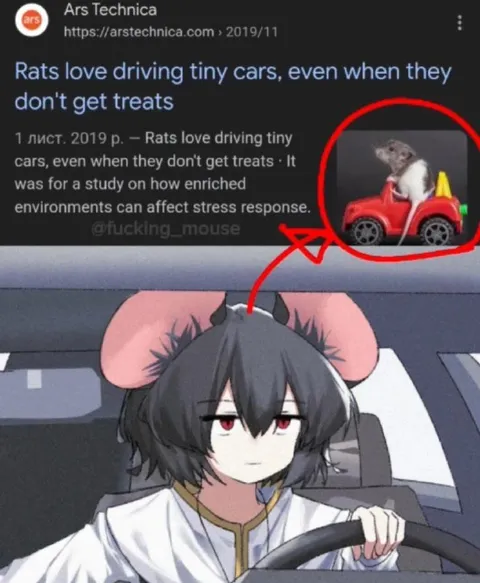 Rats Love Driving Tiny Cars