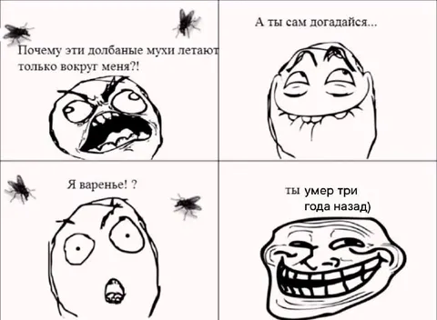 Мухи летают вокруг меня
