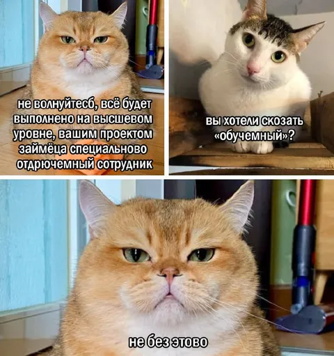 Специально отдюечемный сотрудник