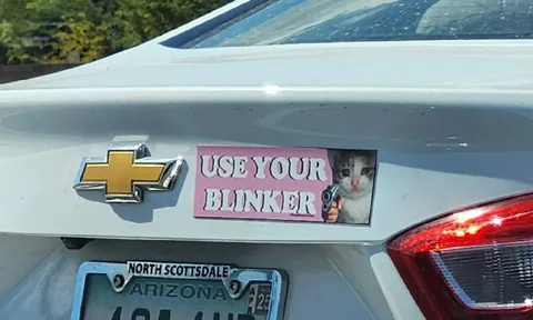 Use Your Blinker Sticker