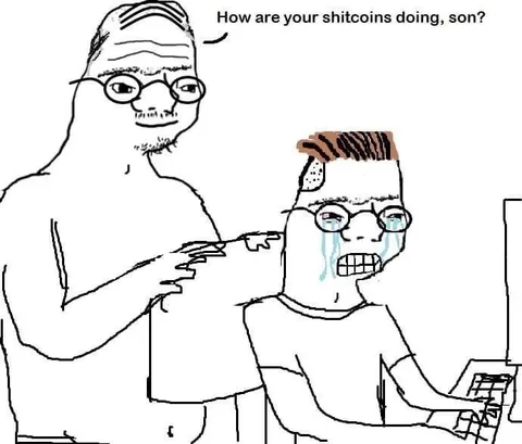 How Are Your Shitcoins Doing, Son?