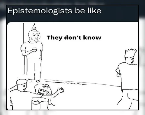 Epistemologists Be Like