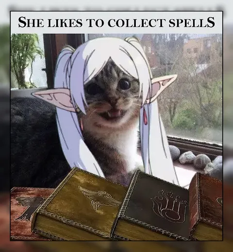 She Likes to Collect Spells