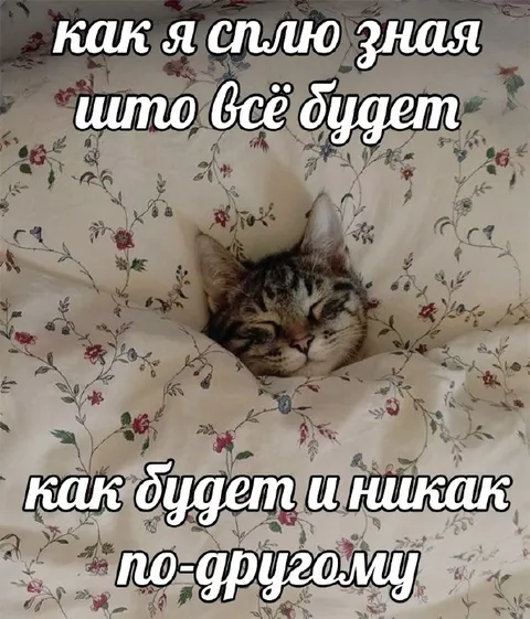 Как я сплю, зная что всё будет
