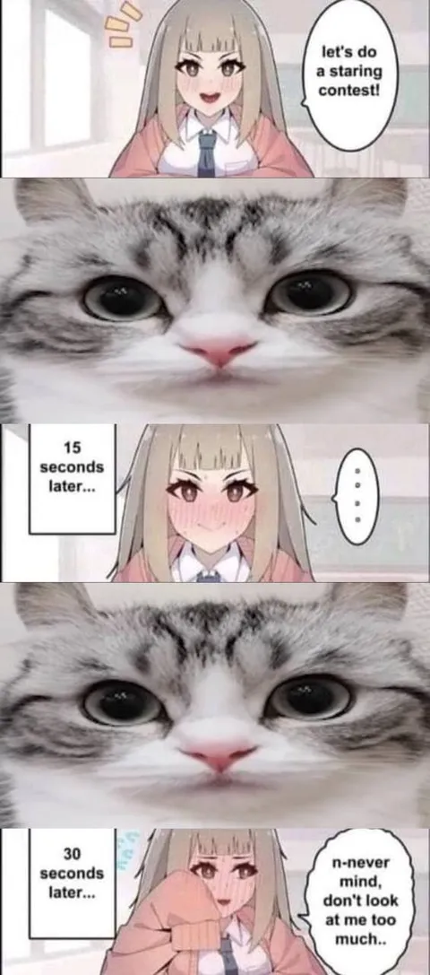 Cat Wins the Staring Contest