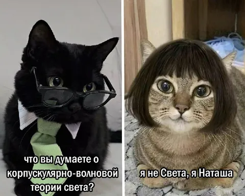Корпускулярно-волновая Наташа