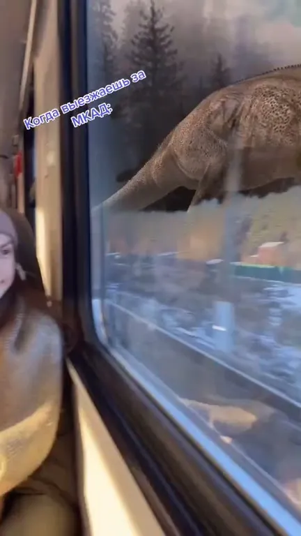 Когда выезжаешь за МКАД