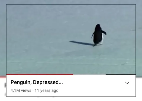 Penguin, Depressed