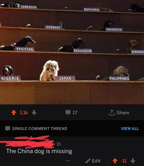 The China Dog Is Missing