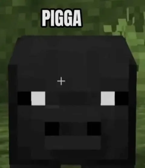 PIGGA Minecraft Face