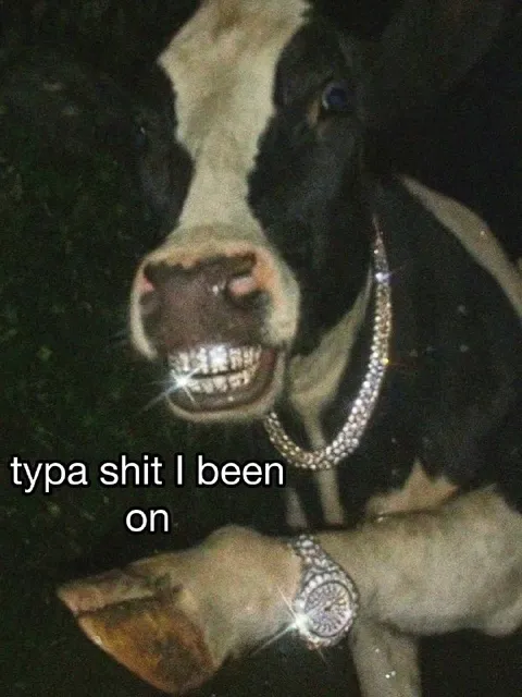 Dripped-Out Cow Flexing